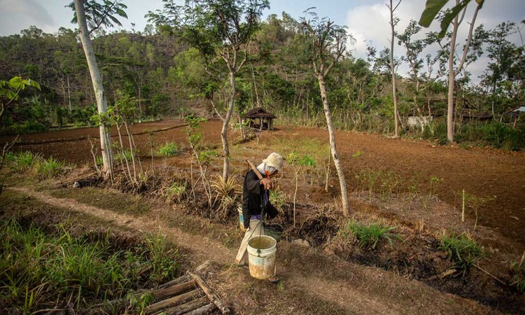 BMKG Memprediksi Fenomena El Nino dan Indian Ocean Dipole (IOD) Masih Akan Berlangsung Hingga Akhir Tahun 2023