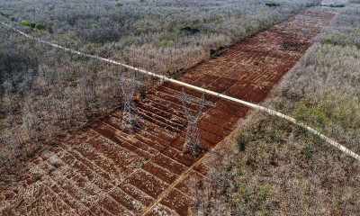 Hutan Jati di Bojonegoro Meranggas Akibat Musim Kemarau Panjang