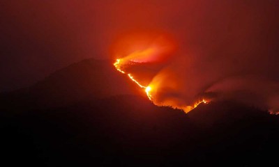 Hutan di Gunung Merbabu Terbakar, Jalur Pendakian Ditutup Sementara