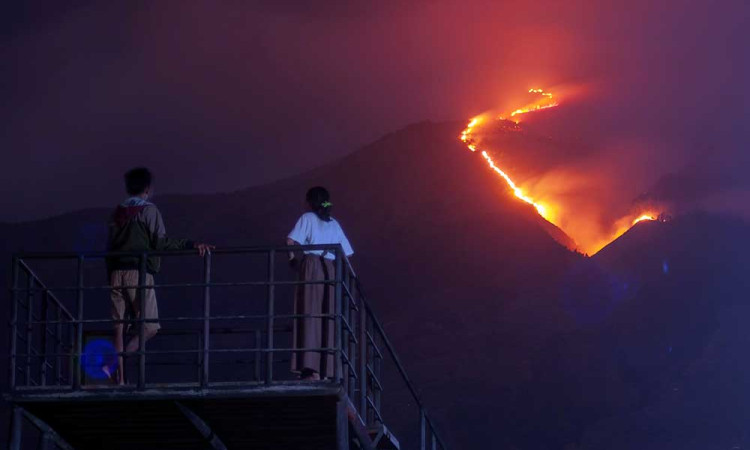 Hutan di Gunung Merbabu Terbakar, Jalur Pendakian Ditutup Sementara