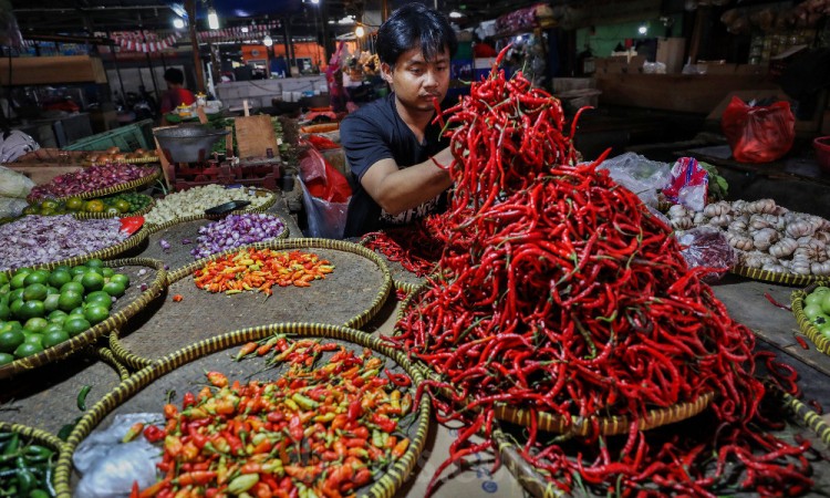 Harga Cabai Rawit di Pasar Melonjak Tinggi