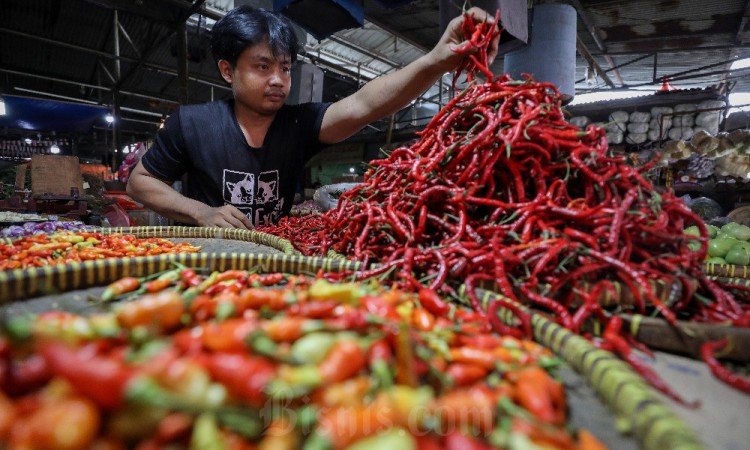 Harga Cabai Rawit di Pasar Melonjak Tinggi