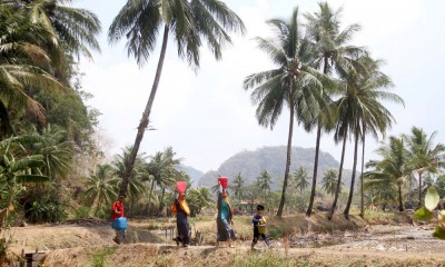 BMKG Memperkirakan Fenomena El Nino Akan Terus Berlangsung Hingga Februari