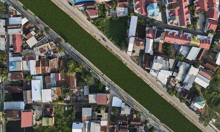 Kanal di Makassar Mulai Dipenuhi Tanaman Eceng Gondok