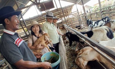 Inovasi Industri Kuliner & Peternakan di Sangatta Kalimantan Timur