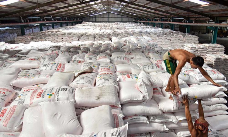Masuk Masa Musim Tanam, Stok Pupuk Subsidi di Medan Mencapai 50.809 Ton 