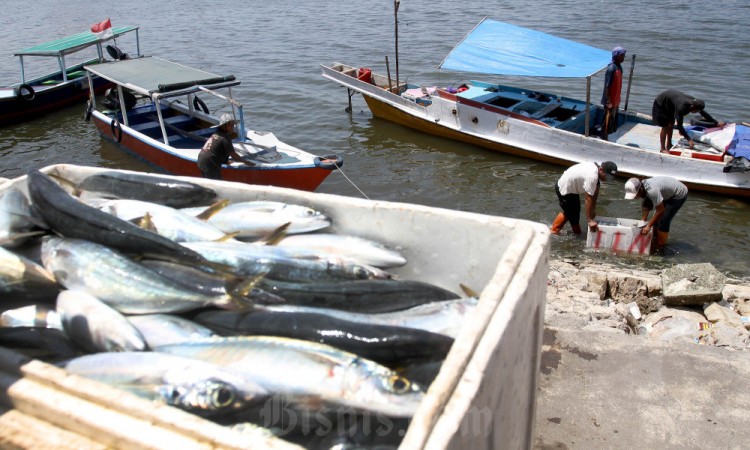 Ekspor Produk Perikanan Indonesia Hingga September 2023 Mencapai Rp64,1 Triliun