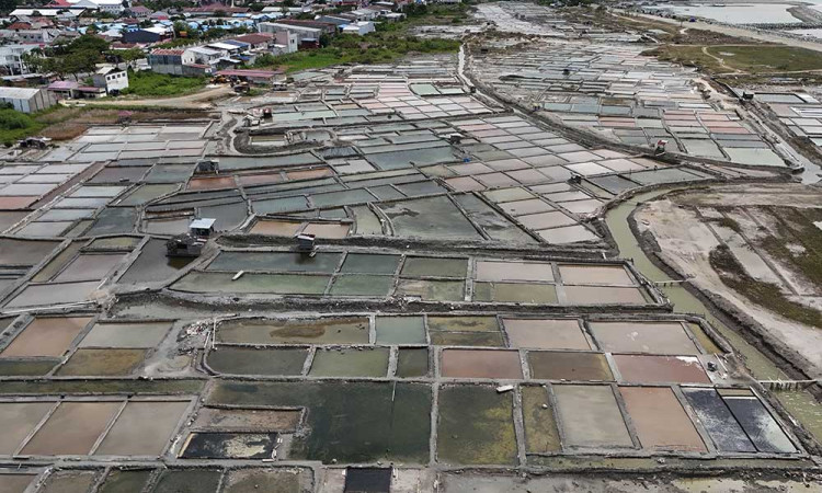 Musim Hujan Tiba, Produksi Garam Mulai Menurun Dalam Sepekan Terakhir