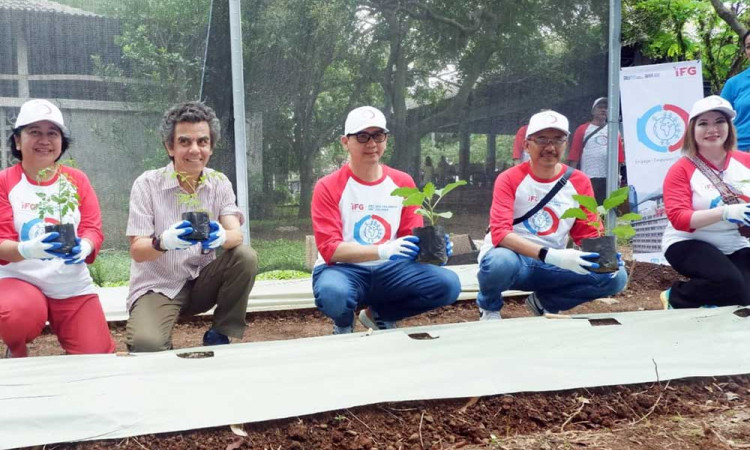 IFG Dorong Literasi Keuangan Untuk Anak Usia Dini Dengan Program Volunteers Day