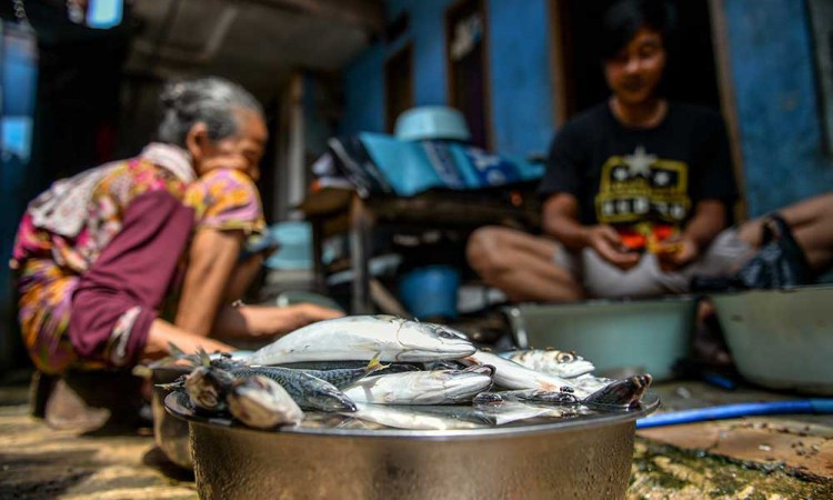 Sentra Produksi Pindang Ikan di Bandung Mempu Memproduksi Sebanyak Satu Kuintal Per Hari