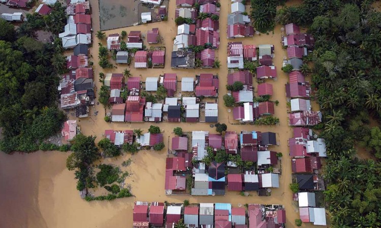 Sejumlah Wilayah di Aceh Terendam Banjir Luapan Sungai Krueng Meureubo dan Sungai Krueng Woyla