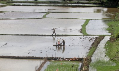 Pupuk Kaltim Pastikan Stok Pupuk Bersubsidi Aman Hingga Tahun Depan