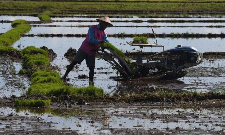 Transformasi Petani Modern