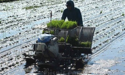 Transformasi Petani Modern