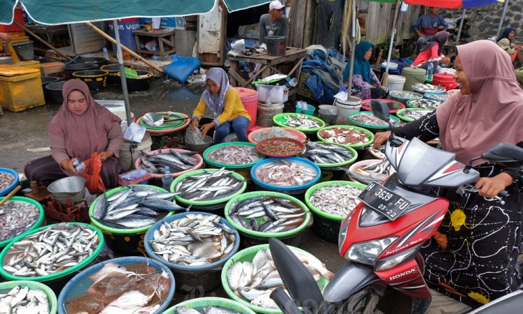 Harga Ikan Segar di Jawa Tengah Turun