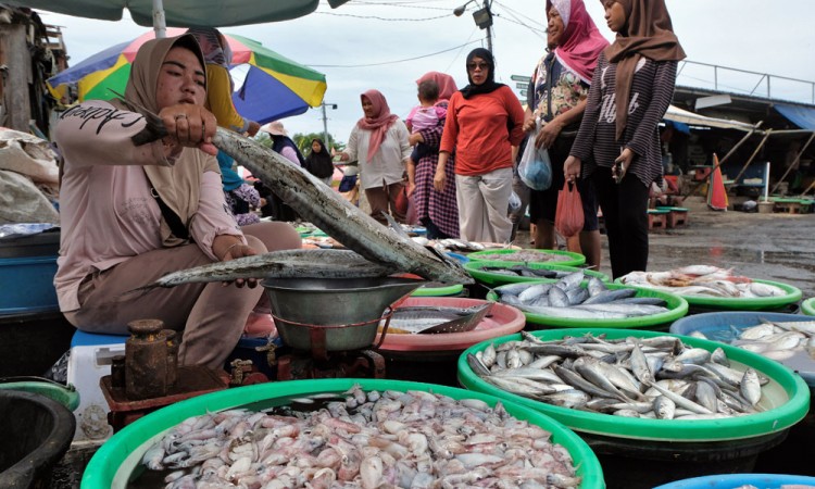 Harga Ikan Segar di Jawa Tengah Turun