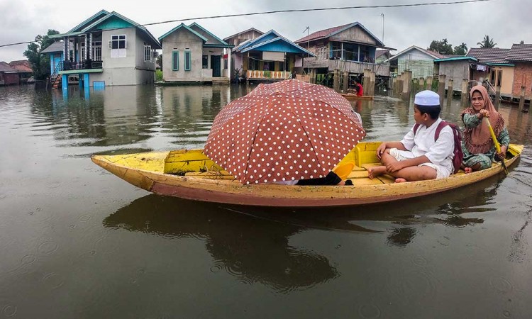 Ratusan Rumah Warga di Jambi Terendam Banjir Luapan Sungai Batanghari