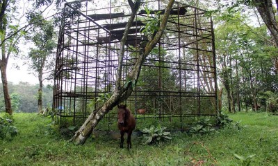 Rencana Penutupan Sementara Medan Zoo