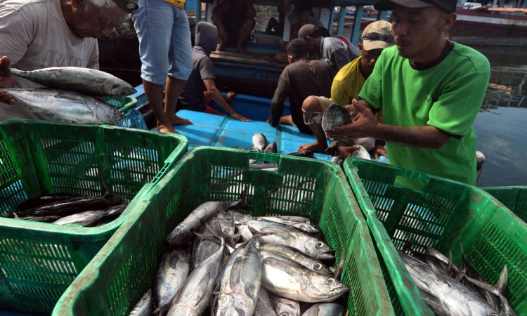 Penerimaan Negara Bukan Pajak (PNPB) Dari Sektor Penerimaan Negara Bukan Pajak (PNPB) Dari Sektor Pengelolaan Ruang Laut Mencapai Rp707 Miliar