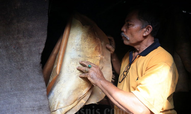 Pengasapan Kulit Kambing Untuk Bahan Baku Alat musik Tradisional