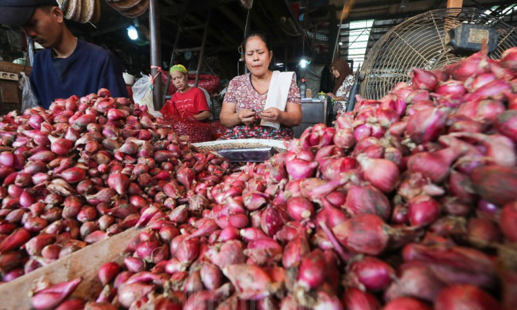 Harga Pangan Terpantau Turun