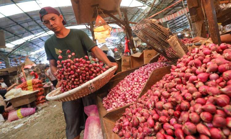 Harga Pangan Terpantau Turun