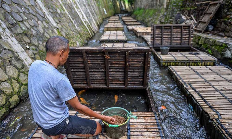 Pemanfaatan Sungai Untuk Budi Daya Ikan