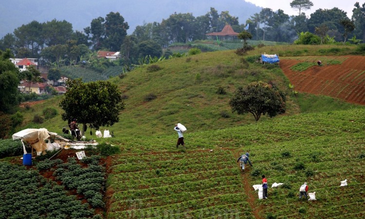 Nilai Tukar Petani di Jawa Barat Pada Januari 2024 Meningkat 0,10%