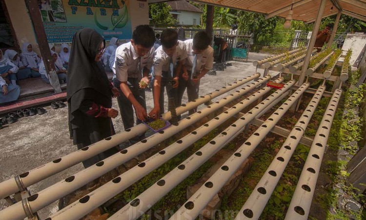 Belajar Mengenal Pertanian Hidroponik di Sekolah