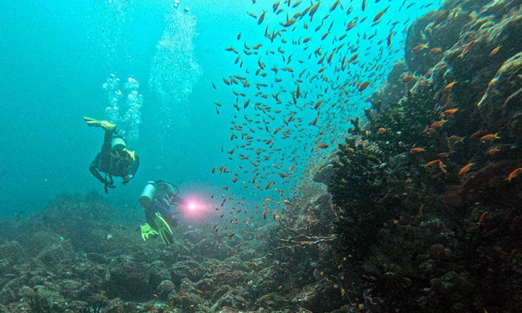 Wisata Selam (diving) di Pulau Weh Sabang Menjadi Destinasi Unggualan