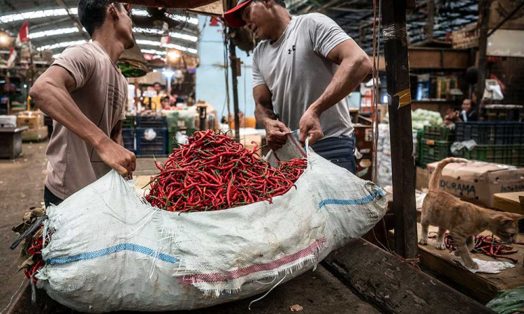 Harga Cabai Merah Keriting di Jakarta Melonjak Hingga Rp100.000 Per Kilogram