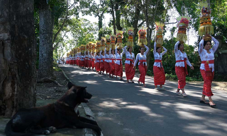 Tradisi Mapeed di Bali Menjadi Daya Tarik Wisatawan Manca Negara