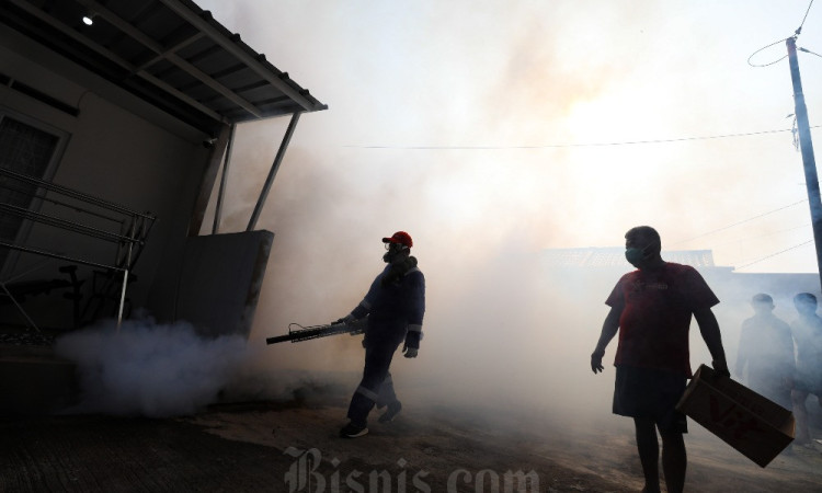Kasus DBD di Jabar Tembus 11 Ribu, 96 di Antaranya Meninggal Dunia