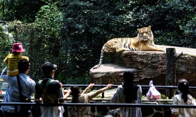 Keramaian Wisata Bandung Zoo Libur Lebaran