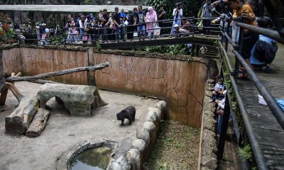Keramaian Wisata Bandung Zoo Libur Lebaran