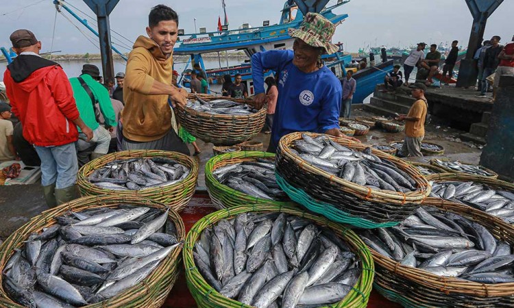 Pasokan Ikan Segar Menurun, Nelayan di Aceh Kembali Melaut Setelah Libur Idul Fitri