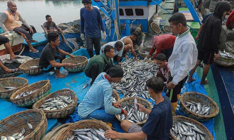 Pasokan Ikan Segar Menurun, Nelayan di Aceh Kembali Melaut Setelah Libur Idul Fitri