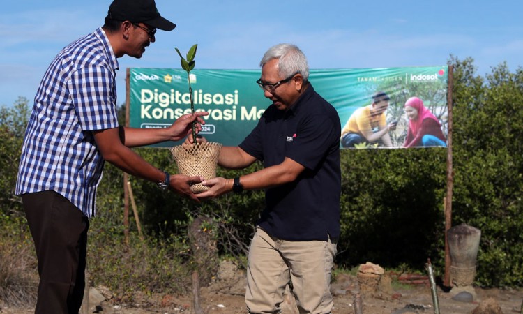 Indosat Serahkan 15.000 Bibit Mangrove Untuk Ditaman Di Daerah Pesisir Pantai di Provinsi Aceh