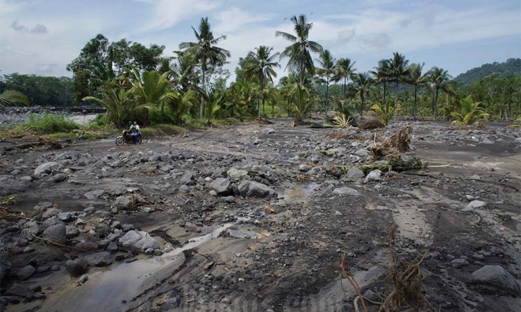 Puluhan Hektar Lahan Pertanian Terdampak Banjir Gunung Semeru