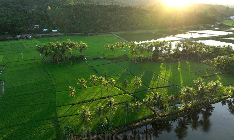Wisata Pulau Padamarang dan Pantai Shaka di Kolaka