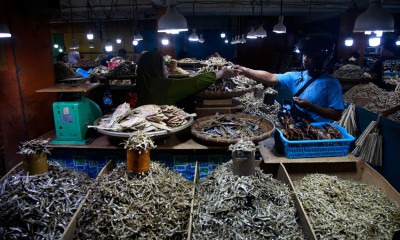 Pusat Penjualan Ikan Teri di Pasar Barito Ternate