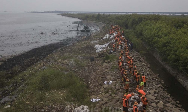 Pembersihan Sampah di Cilincing