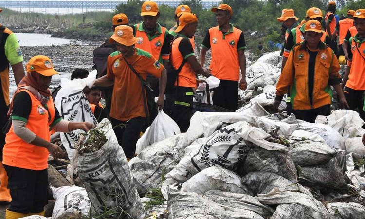 Pembersihan Sampah di Cilincing