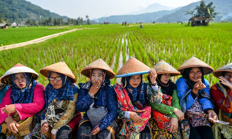 Festival Sawah di Kabupaten Sumedang