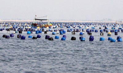 Bagan Tancap Menjamur di Perairan Dadap Teluk Jakarta