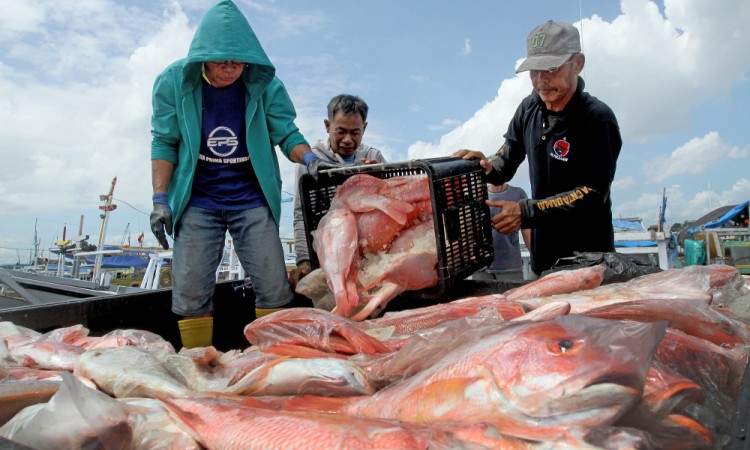Kementerian Kelautan dan Perikanan Mulai Melakukan Uji Coba Penangkapan Ikan Terukur