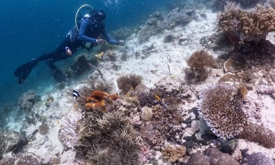 Konservasi Terumbu Karang di Raja Ampat