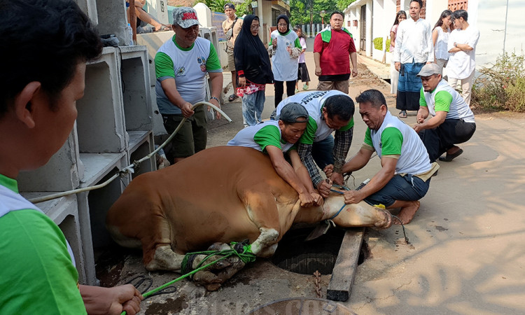 Indofood Salurkan Hewan Kurban