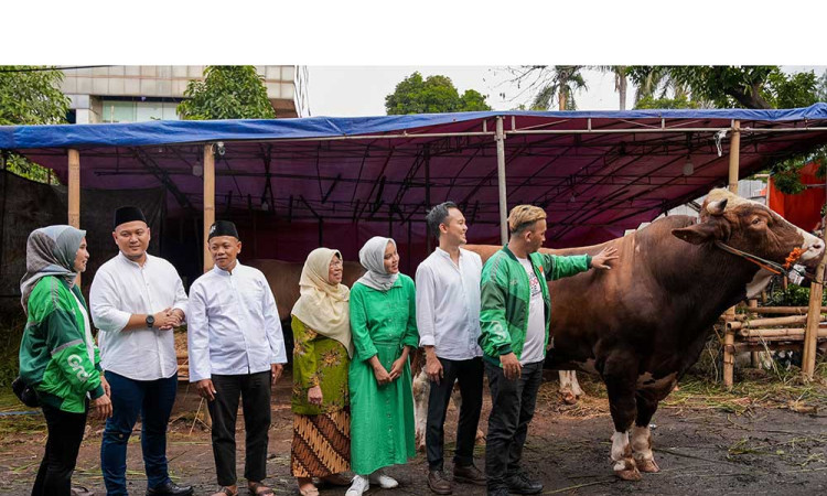 Peringati Iduladha 1445 H, Grab & OVO Sumbang Empat Sapi Limosin dan Puluhan Kambing untuk Masyarakat dan Mitra Pengemudi
