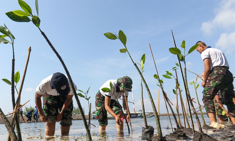 Siswa Kodiklatal Wira Jala Yudha Tanam Mangrove